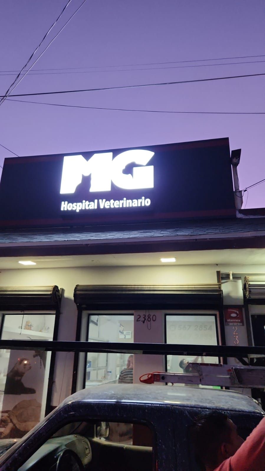 Charola luminosa negra de MG Hospital Veterinario encendida al anochecer, con la escalera aún apoyada tras la instalación.